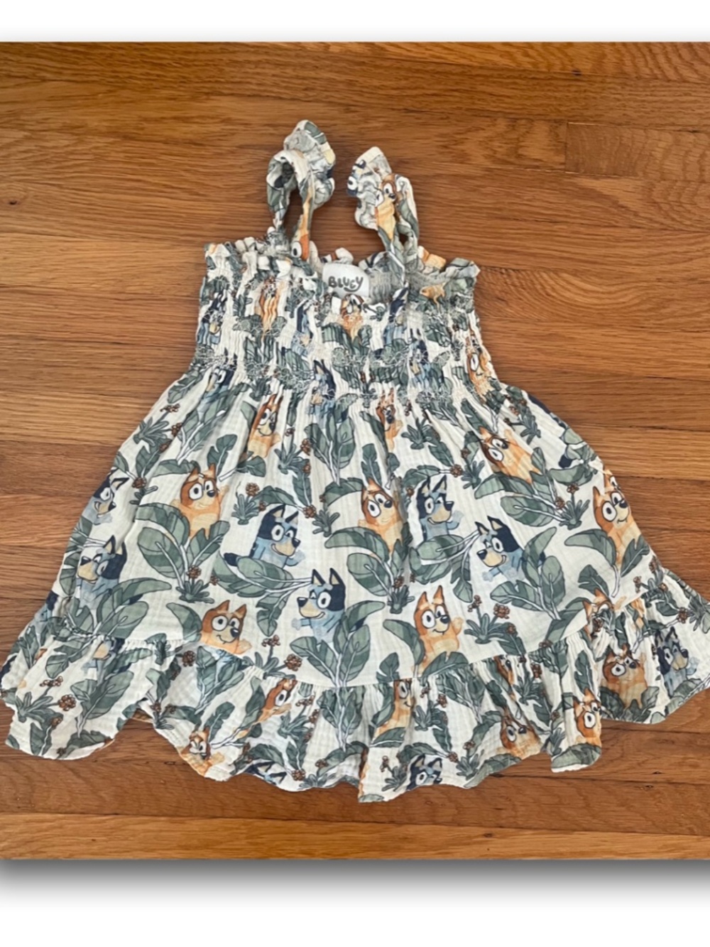 Bluey Dress • 12 months